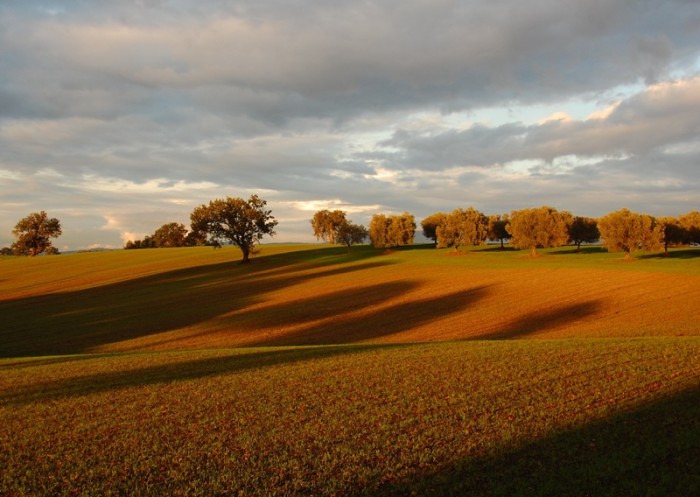 campagna_campoleone_2